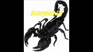 RODOLFO ALCARDI  CARIÑITO  REMIX  SCORPION DJ [upl. by Eelrahc]