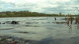 Curlyleaf Pondweed Treatment Begins in Plymouth’s Bass Lake [upl. by Bowra]