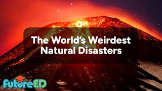 The Worlds Weirdest Natural Disasters  English Lesson  FutureEd [upl. by Llertrac399]