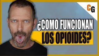 ¿Como funcionan los OPIOIDES  Morfina Fentanilo Heroina y Otro Opioides EXPLICADOS [upl. by Ynots794]