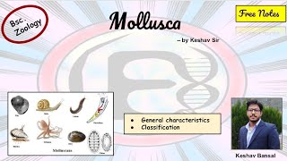 Mollusca  General characteristics amp classification  Bsc  Free PDF notes  by Viologia EXtrema [upl. by Wanids749]