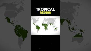 TROPICAL REGION tropicalregiontropicalrainforest  WHAT IS TROPICAL REGION shortsviraltreanding [upl. by Audun]