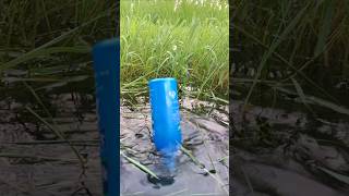 Bottle Fishing Trap shorts [upl. by Kalam981]