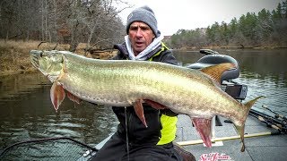 Live Bait Musky – Fishing Edge TV [upl. by Binnie]