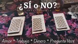 TAROT Sí O NO 🔮 TAROT INTERACTIVO ☀️ TAROT PREGUNTA LIBRE 2022💖 AMOR 💖 DINERO 💙 TRABAJO 💚 [upl. by Nosnaj]