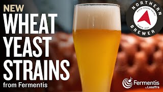 New Wheat Beer Yeast Strains [upl. by Alguire]