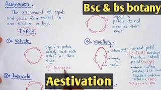 Aestivation And Its Types  Velvate imbricate And Twisted aestivation  Class Bsc Botany [upl. by Francois]