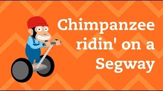 Chimpanzee Riding A Segway  Lyric video by Nathan Mazur [upl. by Carlene]