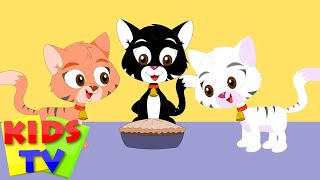 three little kittens  three little cats  nursery rhymes  songs for children  baby lyrics [upl. by Traggat]