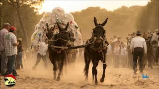 SEVILLANAS ROCIERAS COSITAS DEL ROCIÓ SEVILLANAS CAMINOS POR LA RAYA MEJORES OLEE  Video Oficial [upl. by Kristos42]