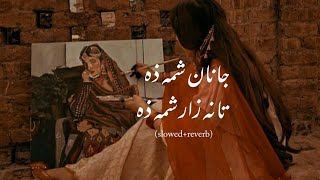 Janana Zama Tana Zar in Urdu Translation [upl. by Aicerg]