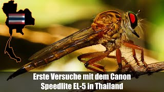 Erste Versuche Makrofotografie mit dem Canon Speedlite EL5 in Thailand [upl. by Dickens930]