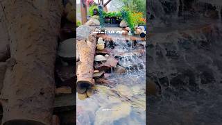 Kalden Boy enjoying Fish Pond [upl. by Nara]