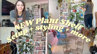 New DIY Plant Shelf  Setup  Styling  Grow Lights🌿Affordable and Easy to Maintain👩🏻‍🌾 [upl. by Jeritah517]