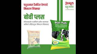 vet Powder Best Mineral Mixtures Amul Bovi plus 1 kg 5 kg 10 kg [upl. by Nyliac]