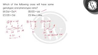 Which of the following cross will have same genotypic and phenotypic ratio [upl. by Idnir]