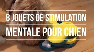 Stimulation mentale pour chien 8 jouets à découvrir [upl. by Obara]