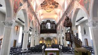 Konstanz  Dreifaltigkeitskirche [upl. by Siddra274]