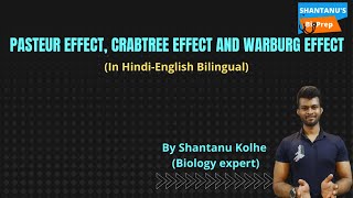 Pasteur effect  Crabtree effect  Warburg effect  In Hindi  CSIR NET  GATE  Shantanu Kolhe [upl. by Ayanet]