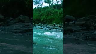 ASMR River asmr nature riverrelaxation [upl. by Marks683]