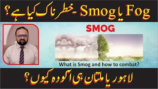 SMOG  What are the hazards and what are the strategies to combat it [upl. by Parhe]