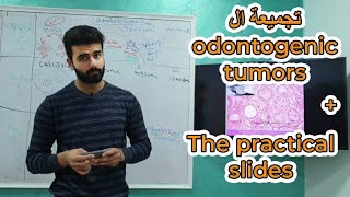 تجميعة ال Odontogenic tumors  ال practical slides  أورال باثولوجي  عزت شومان [upl. by Ahsille]