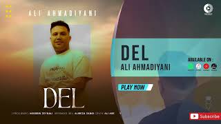 Ali Ahmadiyani  Del  OFFICIAL AUDIO TRACK علی احمدیانی  دل [upl. by Yderf253]