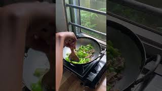 Stir fried bell peppers food [upl. by Harman]