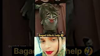 Bagad billa ki help 😂🤣 funny bagadbillacomedy bagadbilla comedy [upl. by Eoz]