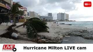 Hurricane Milton LIVE cam from Florida [upl. by Jung]