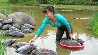 Harvesting A Lot Of Snails Goes To Market Sell  Take Care Ducks amp Pigs  Phuong Daily Harvesting [upl. by Chouest]