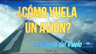 ¿Qué hace volar a un avión [upl. by Alleras]