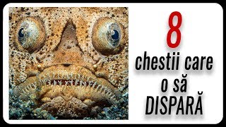 8 chestii care o să DISPARĂ la care nu teai gândi [upl. by Eelime]