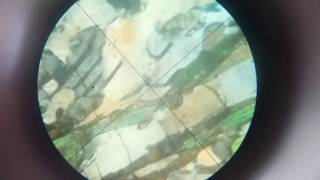 Study of Gneiss in thin section under microscope [upl. by Aserehs]