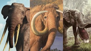 The Evolution Of Elephant Journey The Elephant Saga [upl. by Ronica]