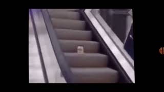 mayonnaise on a escalator full song [upl. by Yffat284]