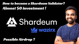 Shardeum  How to become a validator  Possible Airdrop 👀 [upl. by Yclek559]