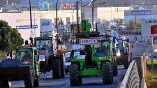 Colère des agriculteurs  Le prix du gazole nonroutier au cœur des revendications [upl. by Cima]