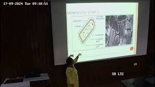 Viral Encephalitis 1 Rabies And HSV Encephalitis [upl. by Sukey]