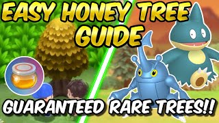 EASY HONEY TREE GUIDE GUARANTEED Rare Trees in Pokemon Brilliant Diamond and Shining Pearl [upl. by Brightman29]