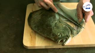 Technique de cuisine  Lever les filets dun turbot [upl. by Weisberg]