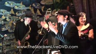 The Slackers  Old Dog [upl. by Cesaria13]