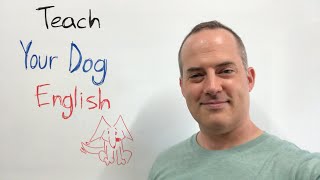 How To Teach Your Dog English [upl. by Kiyohara]