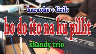 HO DO ITO NA HU PILLIT KARAOKE SHANDY TRIO [upl. by Greenburg668]