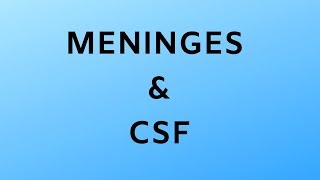 AF SOMALI NEUROSCIENCE MENINGES amp CSF PART SEVEN [upl. by Aznaed]