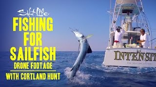 Catching Sailfish with a DRONE with Courtland Hunt [upl. by Haliak603]