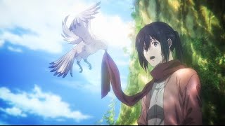 Mikasa at erens grave moment in hindisub and Englishsub [upl. by Ahsad]