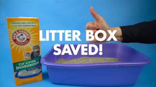 How to use Arm amp Hammer™ Cat Litter Deodorizer [upl. by Arvy]