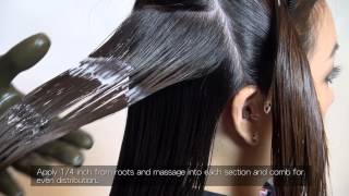 Brazilian Keratin Application Process FULL Version [upl. by Sara]