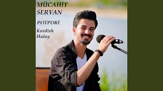 Kurdish Halay Potpori [upl. by Adniral972]